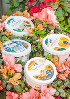 吃冰淇淋瓜的视频,冰淇淋瓜视频带你体验冰爽美味