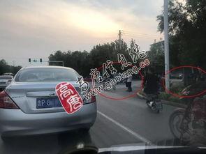 吃瓜网站路口,热门话题背后的真相与笑料